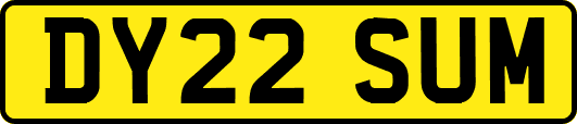 DY22SUM