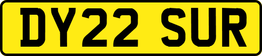 DY22SUR