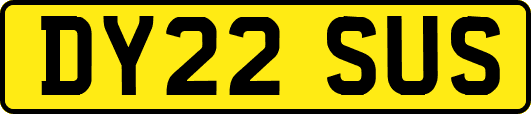 DY22SUS