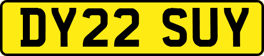 DY22SUY