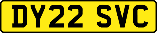 DY22SVC