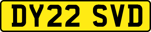 DY22SVD