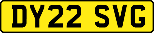 DY22SVG