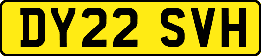 DY22SVH