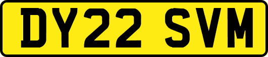 DY22SVM
