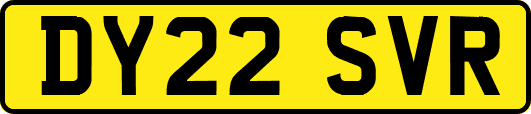 DY22SVR