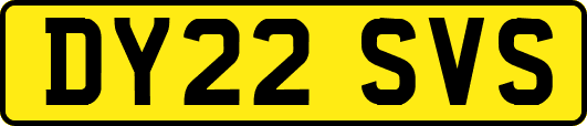 DY22SVS