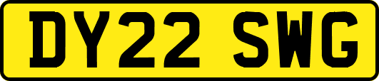 DY22SWG