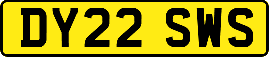 DY22SWS