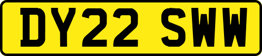 DY22SWW