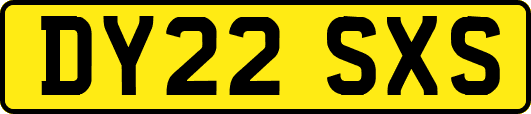 DY22SXS
