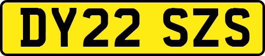DY22SZS