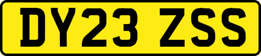 DY23ZSS