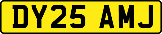 DY25AMJ