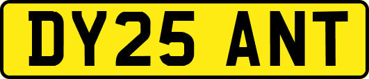 DY25ANT