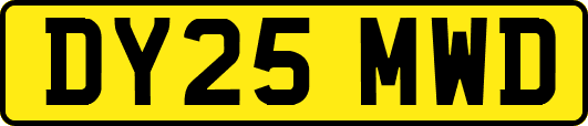 DY25MWD