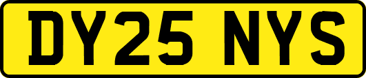 DY25NYS