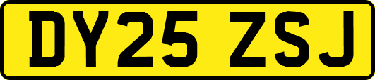 DY25ZSJ