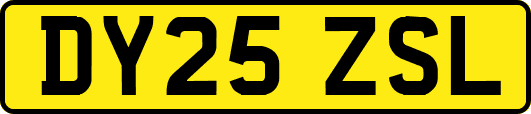 DY25ZSL