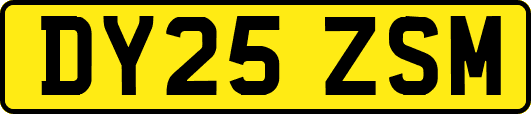 DY25ZSM