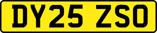 DY25ZSO