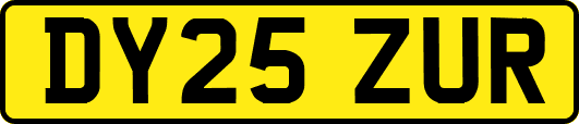 DY25ZUR