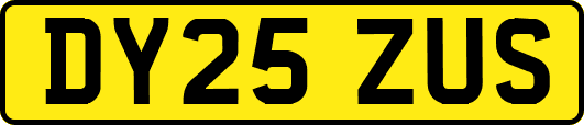 DY25ZUS