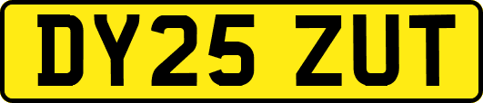 DY25ZUT