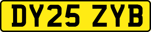 DY25ZYB