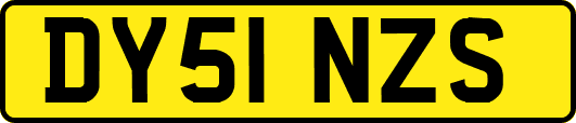 DY51NZS