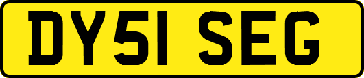 DY51SEG