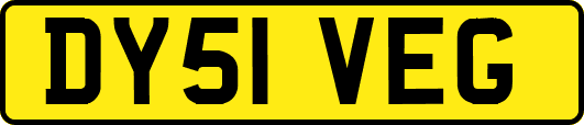 DY51VEG
