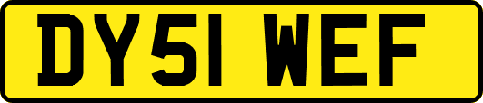 DY51WEF