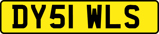 DY51WLS