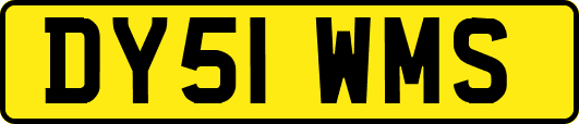 DY51WMS