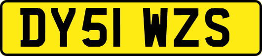 DY51WZS
