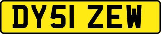 DY51ZEW