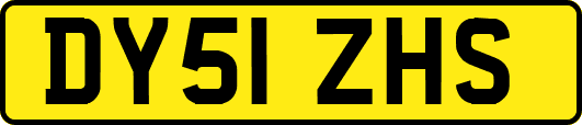 DY51ZHS