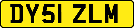 DY51ZLM