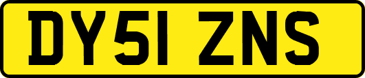 DY51ZNS