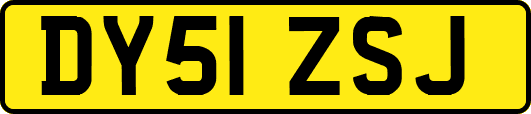 DY51ZSJ