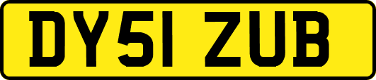 DY51ZUB