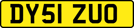 DY51ZUO