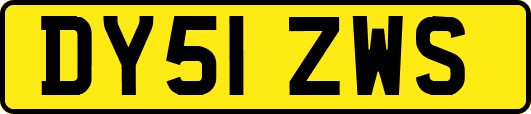 DY51ZWS