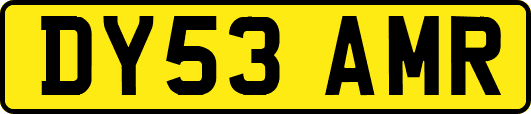 DY53AMR