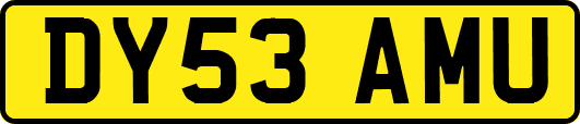 DY53AMU