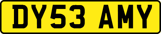 DY53AMY