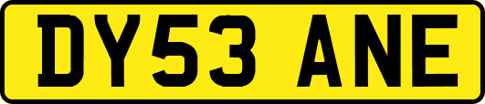 DY53ANE