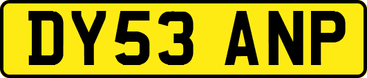 DY53ANP