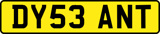 DY53ANT